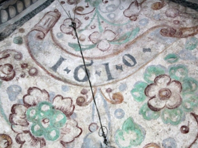 Fragment renesansowej polichromii na sklepieniu kościoła parafialnego w Kańczudze. Wymarła roślina Arum maius której ryciny zachowały się w dokumentach Uniwersytetu Jagiellońskiego